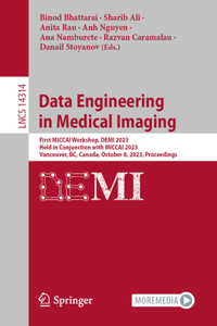 Data Engineering in Medical Imaging