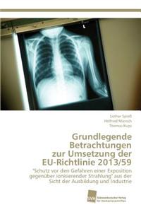 Grundlegende Betrachtungen zur Umsetzung der EU-Richtlinie 2013/59