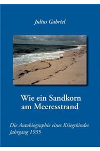 Wie ein Sandkorn am Meeresstrand