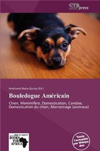 Bouledogue Am Ricain