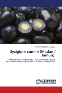 Syzigium cumini (Madan / Jamun)