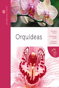 Orqufdeas / Orchids