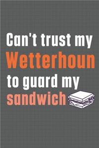 Can't trust my Wetterhoun to guard my sandwich