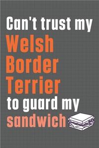 Can't trust my Welsh Border Terrier to guard my sandwich