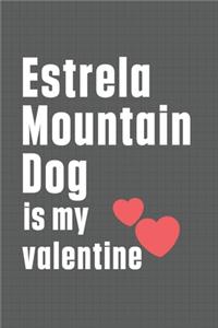 Estrela Mountain Dog is my valentine