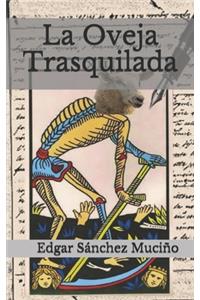 La Oveja Trasquilada
