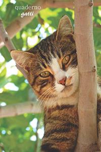 quaderno speciale per gatti