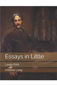 Essays in Little