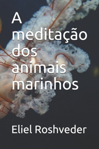 meditação dos animais marinhos