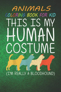 Animal Coloring Book For Kids