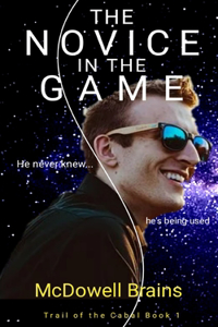 The Novice In The Game
