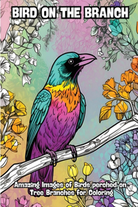 Bird on the Branch