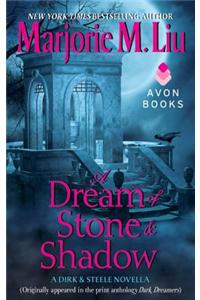 A Dream of Stone & Shadow