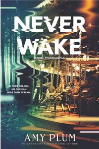 Neverwake
