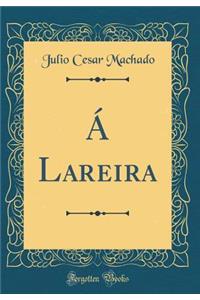 A Lareira (Classic Reprint)