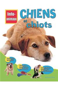 Chiens Et Chiots