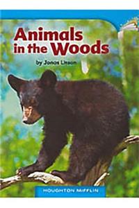 Animals in the Woods
