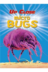 Up Close: Micro Bugs