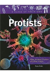 Protists