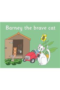 Barney the brave cat