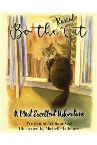 Bo The Rascal Cat