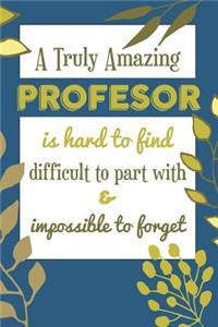 A Truly Amazing PROFESOR Is Hard To Find Difficult To Part With & Impossible To Forget