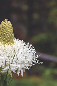 Indian Basket Grass Flower