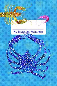My Sketch and Write Book
