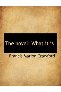 The Novel: What It Is