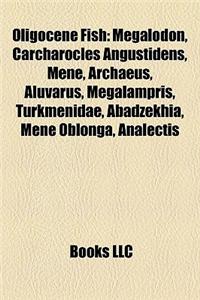 Oligocene Fish
