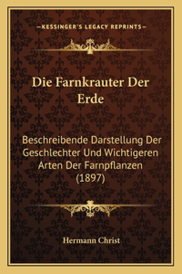 Farnkrauter Der Erde