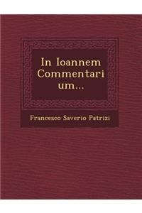 In Ioannem Commentarium...