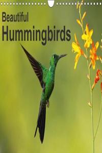 Beautiful Hummingbirds 2018