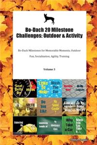 Bo-Dach 20 Milestone Challenges