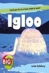 Igloo (The Big Picture)