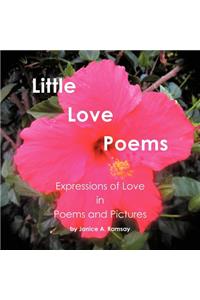 Little Love Poems