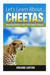 Cheetahs: Amazing Pictures and Facts about Cheetahs