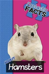 Fantastic Facts about Hamsters: Illustrated Fun Learning for Kids