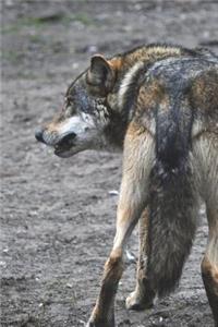 Eurasian Wolf Journal