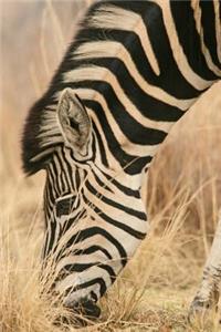 Single Zebra Journal