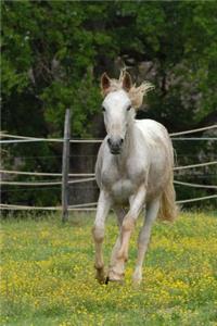 Beautiful White Horse on the Run Journal
