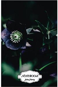 Notebook Journal Dot-grid, Graph, Lined, Blank No Lined - Black Flowers: Small Pocket Notebook Journal Diary