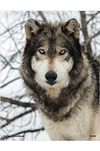 80 Page Wolf Sketchbook