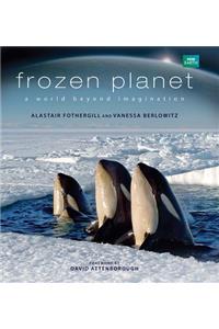 Frozen Planet