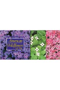 American Wildflowers Gift Wrap