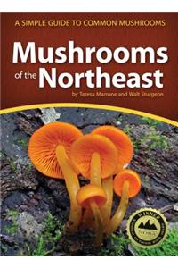 Mushrooms of the Northeast