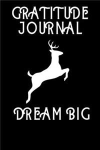 Gratitude Journal Dream Big