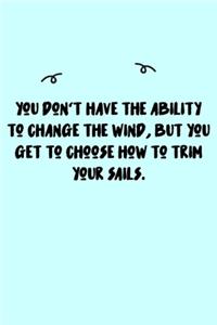 You don't have the ability to change the wind, but you get to choose how to trim your sails. Journal