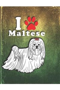 Maltese