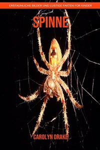 Spinne